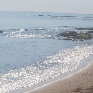 On the Magic Carpet Meditation